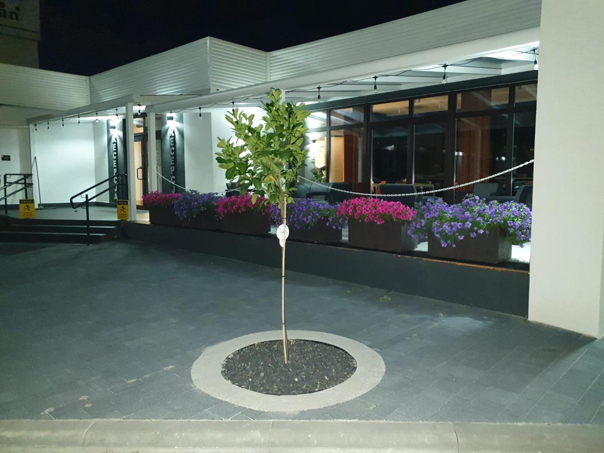 Kelman Inn Global Нова-Суль Экстерьер фото